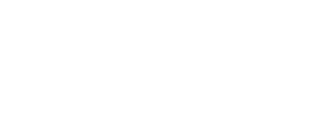 Secure Skillhub logo